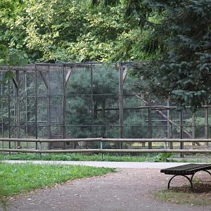 European Pine Marten Enclosure