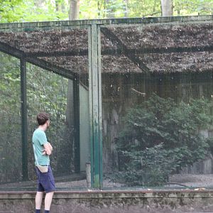 Owl Aviary