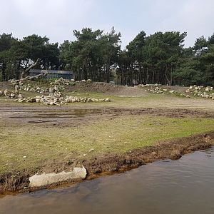 New Ostrich - Red forest buffalo drive-through enclosure