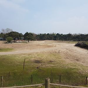 View from-out of the Safari-bus : African Plain