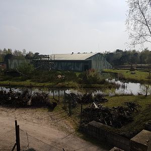 Chimp - Gorilla House and Chimp outdoor-enclosures