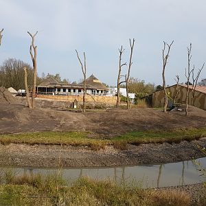 Gorilla-island under construction