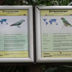 Parrot signs