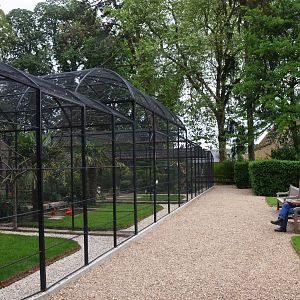 Aviaries at Clères, 16/06/18