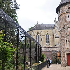 Gibbon and Macaw Enclosures at Clères, 16/06/18