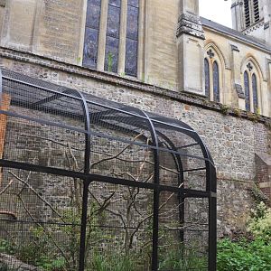 Macaw Enclosure at Clères, 16/06/18