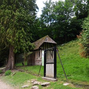 Southern Ground Hornbill Enclosure at Clères, 16/06/18