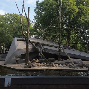 Japanese Macaque Island