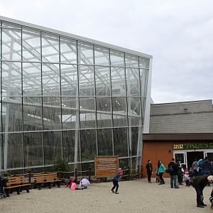 Faces of the Rainforest