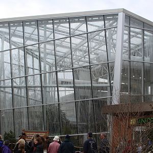 Faces of the Rainforest