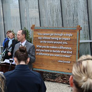 Faces of the Rainforest Opening