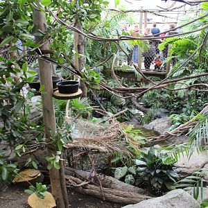 View of Free-Flight Aviary