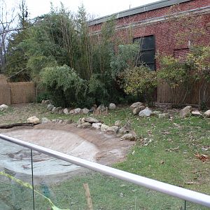 Giant Anteater Enclosure