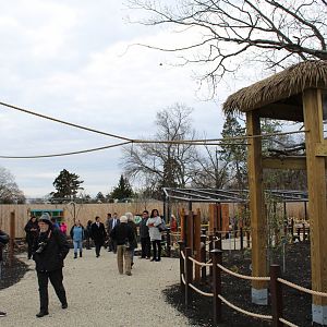 Outdoor Hyacinth Macaw Enclosure Part 1