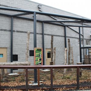 Outdoor Monkey Enclosure