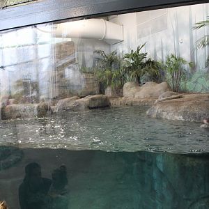 Giant Otter Enclosure Part 1