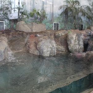 Giant Otter Enclosure Part 2