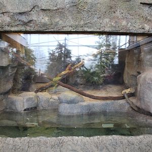 Green Anaconda Enclosure