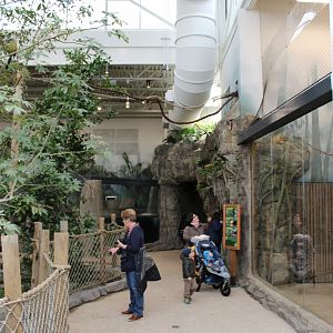 View of Free-Flight Aviary
