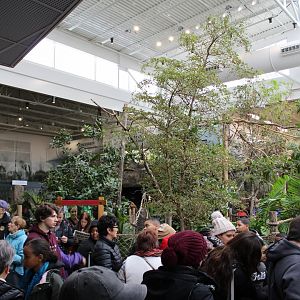 View of the Free-Flight Aviary