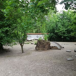 Patagonian mara-enclosure