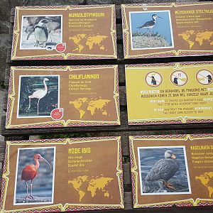 Signs South America Walk-through aviary