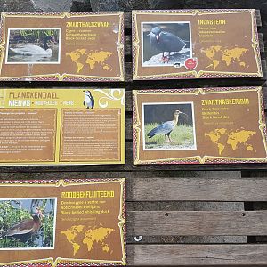 More signs South America Walk-through aviary