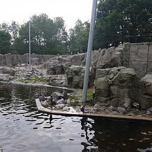 South America Walk-through aviary