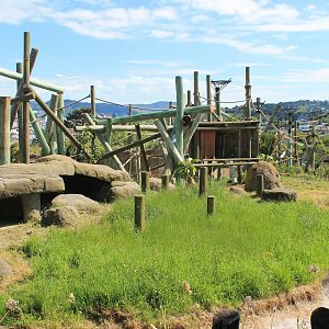 Chimpanzee Enclosure Redevelopment