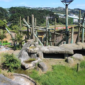 Chimpanzee Enclosure Redevelopment