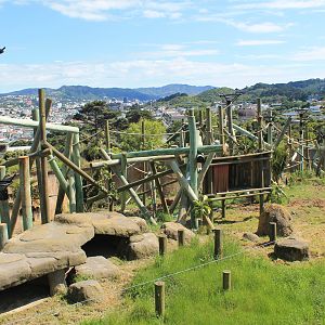 Chimpanzee Enclosure Redevelopment