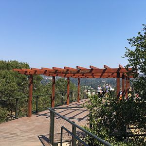 Boardwalk trail going to wolf exhibit