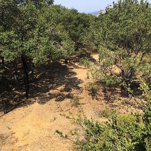 Grey wolf exhibit (Lower?)