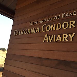Condor aviary sign