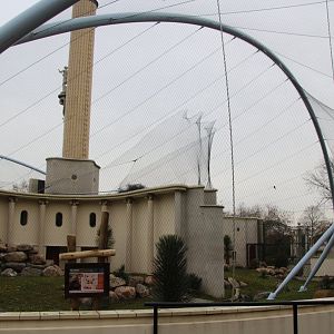 New Gelada Enclosure - December 2018