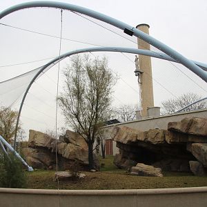 New Gelada Enclosure - December 2018