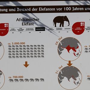 Elephant Decline Sign