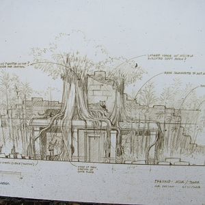 Design for new tiger exhibit