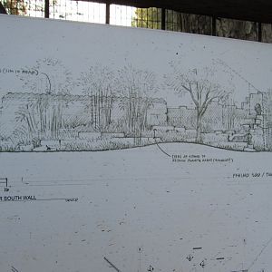 Design for new tiger exhibit