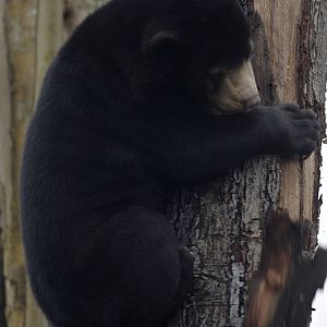 Kyra increases the entropy of the universe . . .