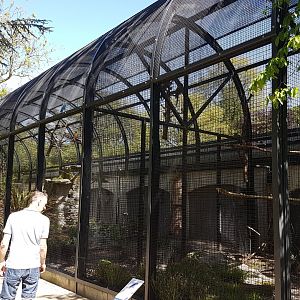 Macaw aviaries