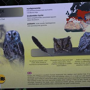Eurasian Scops Owl Signage