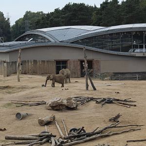 View of Elephant Paddock