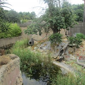 Ruffed Lemur Enclosure
