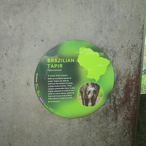 Signage for Tapir