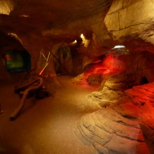 Slender-Tailed Meerkat indoor enclosure view