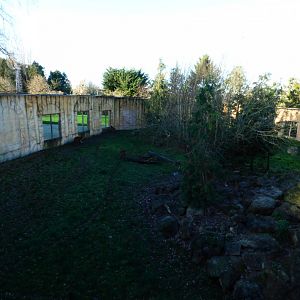 Sumatran Tiger Left Enclosure