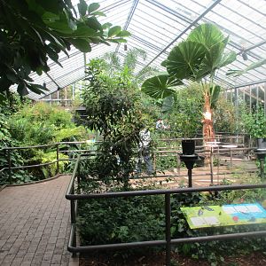 Butterfly House Interior