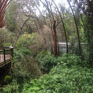 Great Flight Aviary Interior