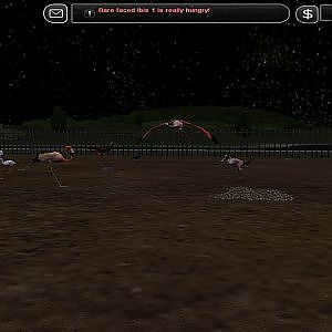 Zoo Tycoon 2 Waders - YouTube